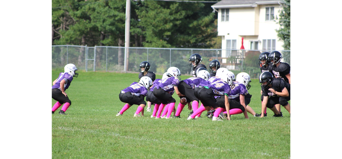 Upper Purple 2021