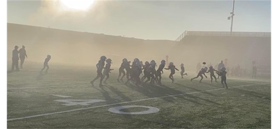 Lower Purple 2022